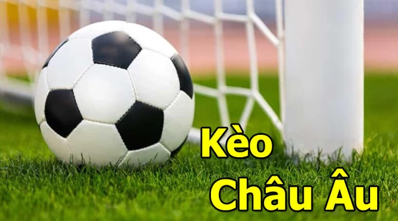 Khái niệm về kèo châu Âu tại QQ88, dành cho người mới